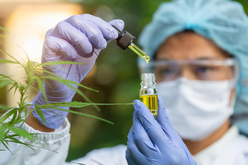 Forbes Article