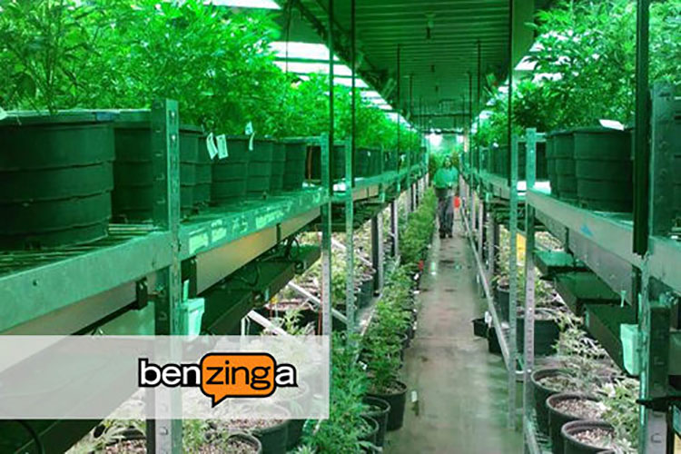 Benzinga article