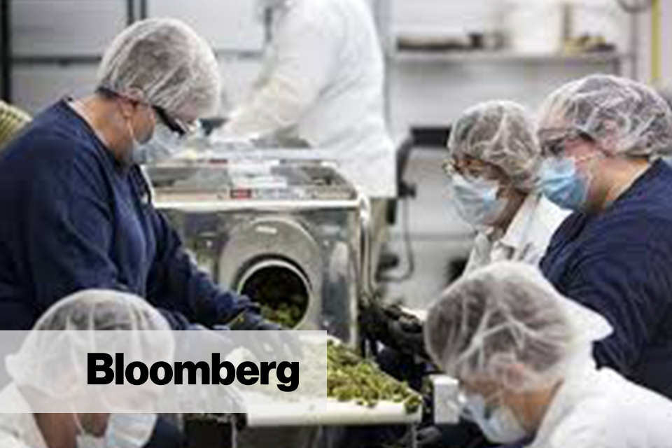 Bloomberg Article
