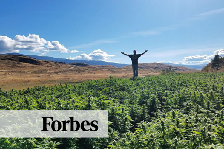 Forbes Article 4.13.19