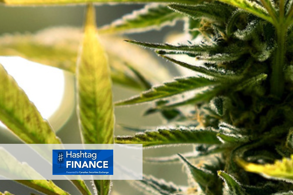 Hashtag Finance Cover Image