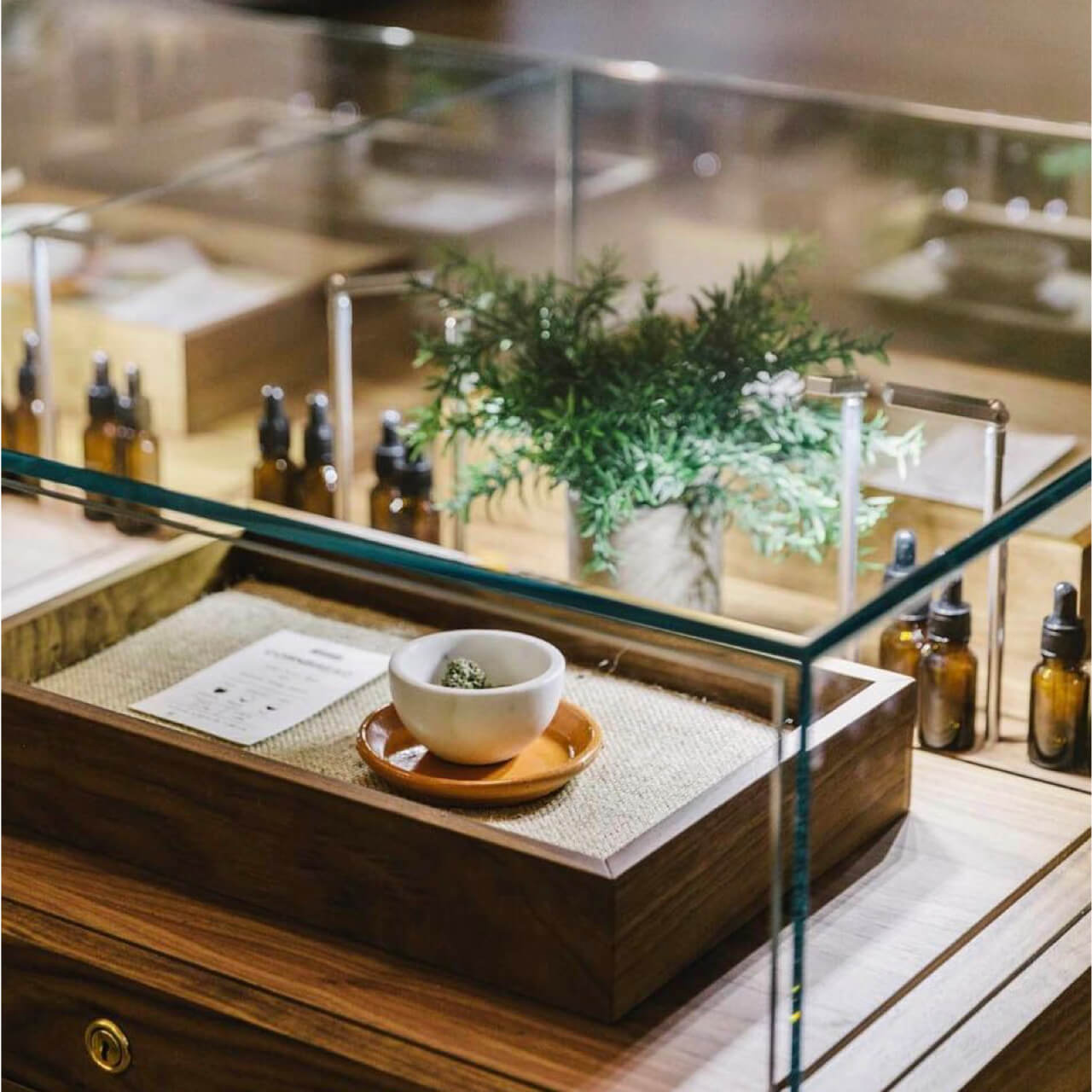 Botanist store interior image