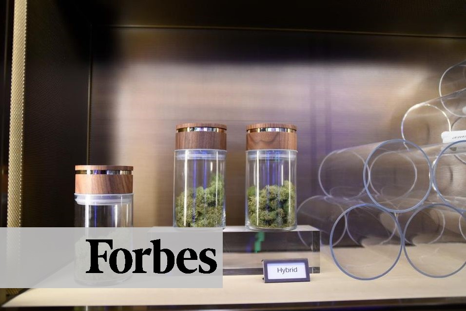 Kevin Forbes Article