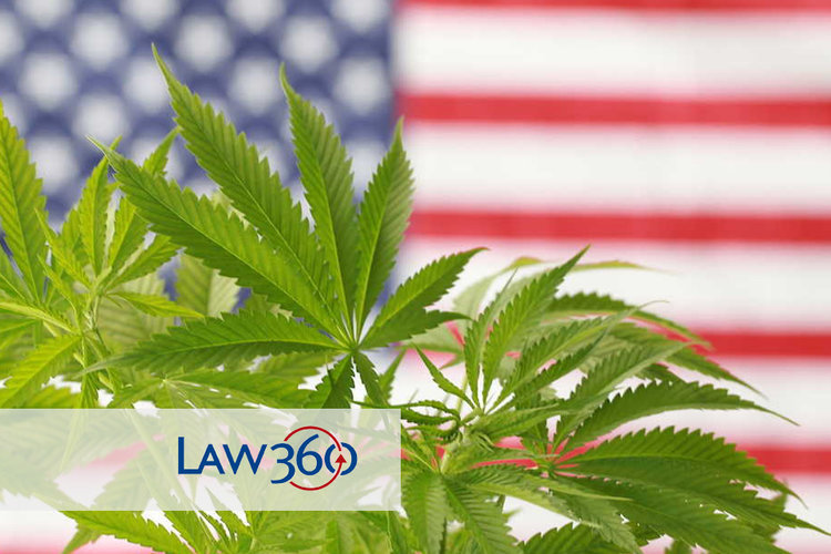Law 360 article