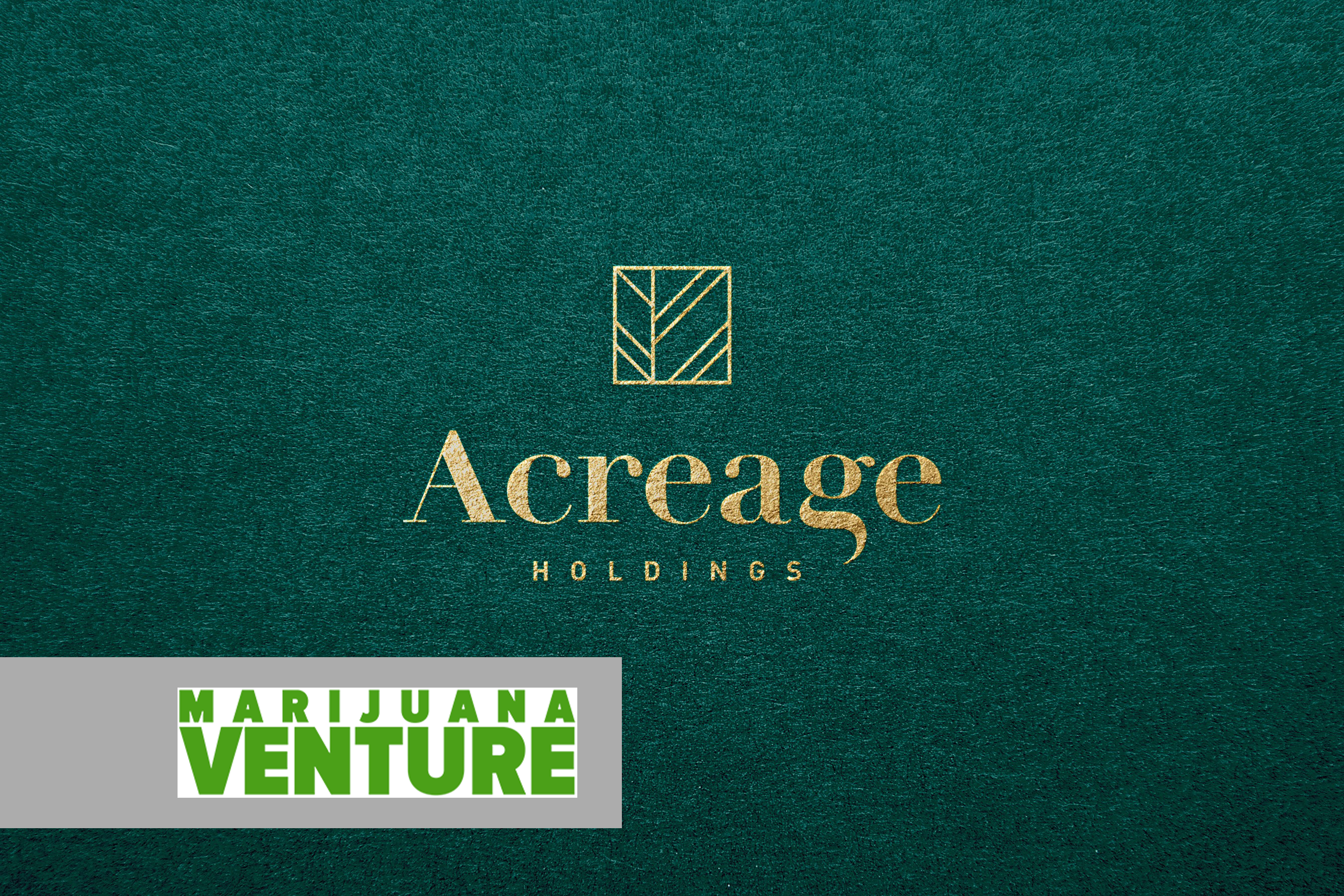 Marijuana Venture Insight