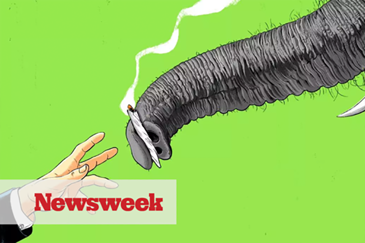 Newsweek article