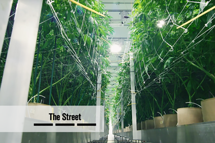The Street Article