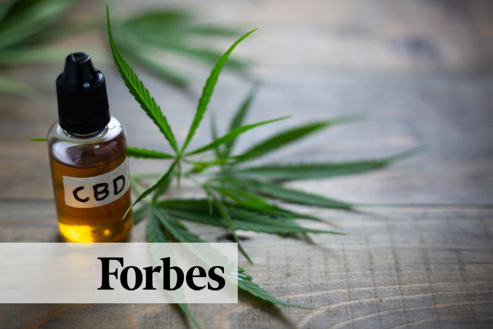 Forbes CBD Article