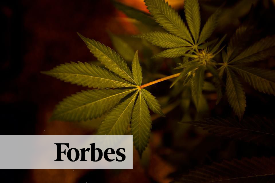 Forbes Article