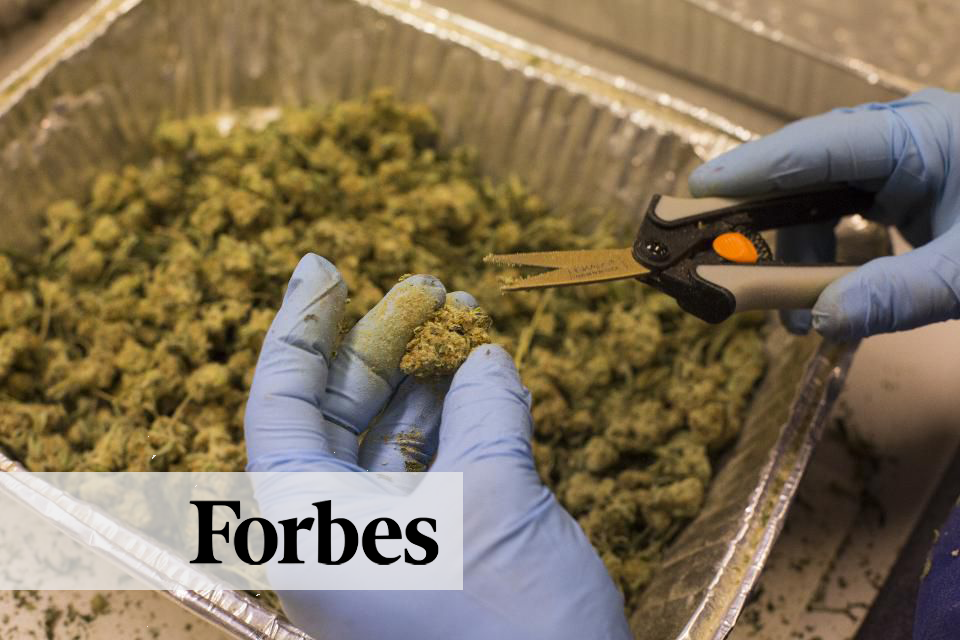 Forbes Article