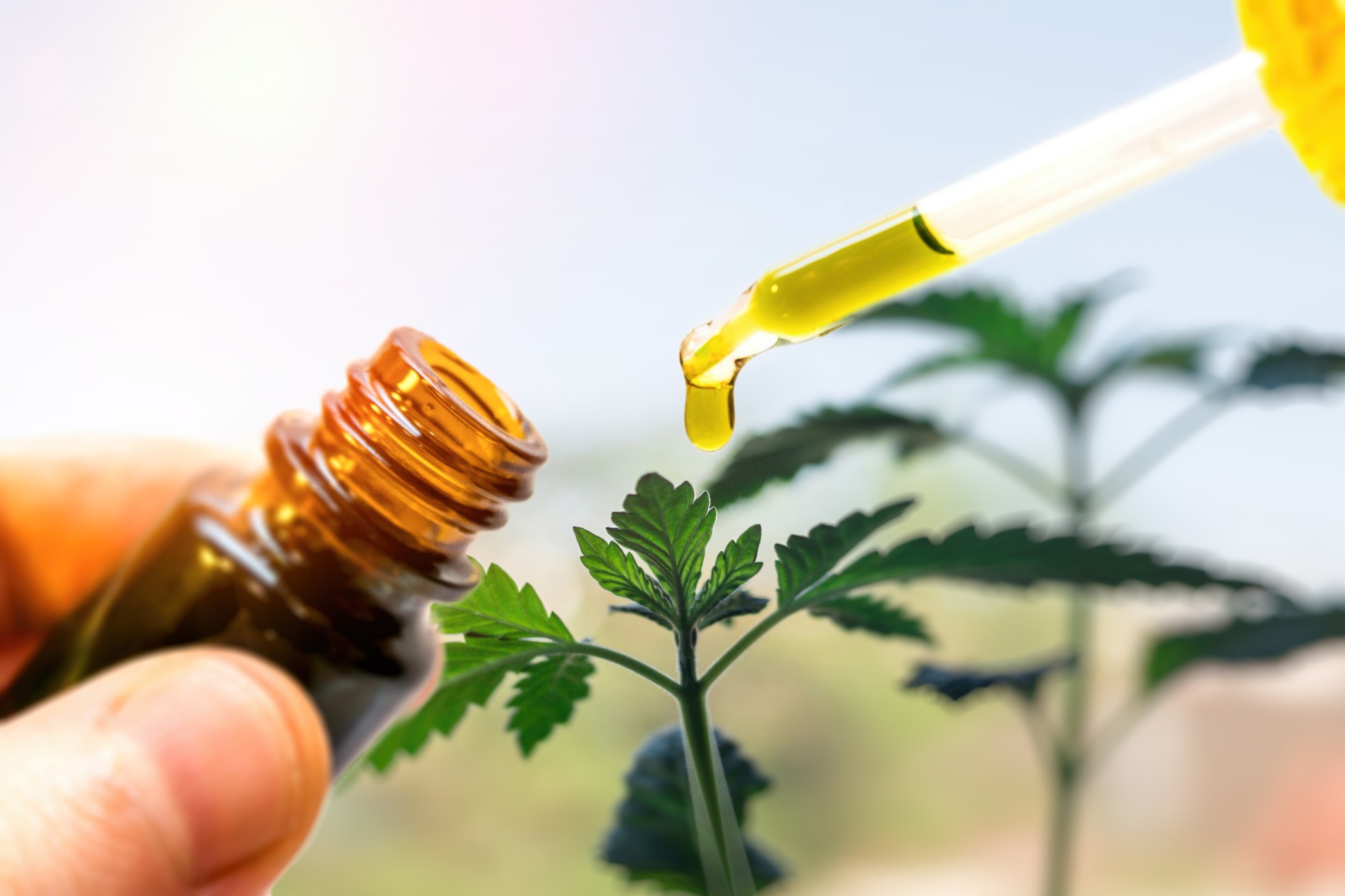 CBD Oil Dropping