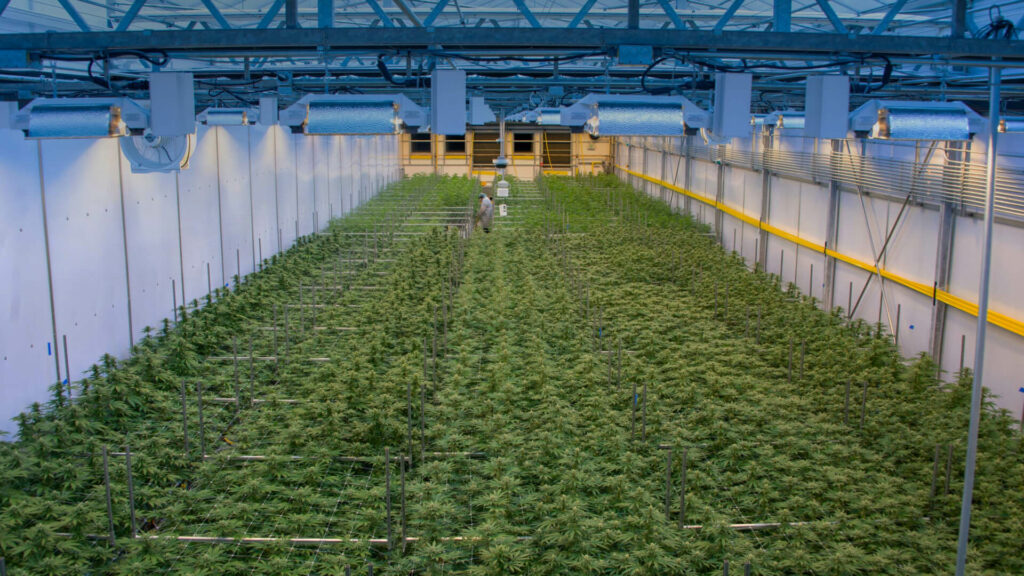 Home Acreage Holdings