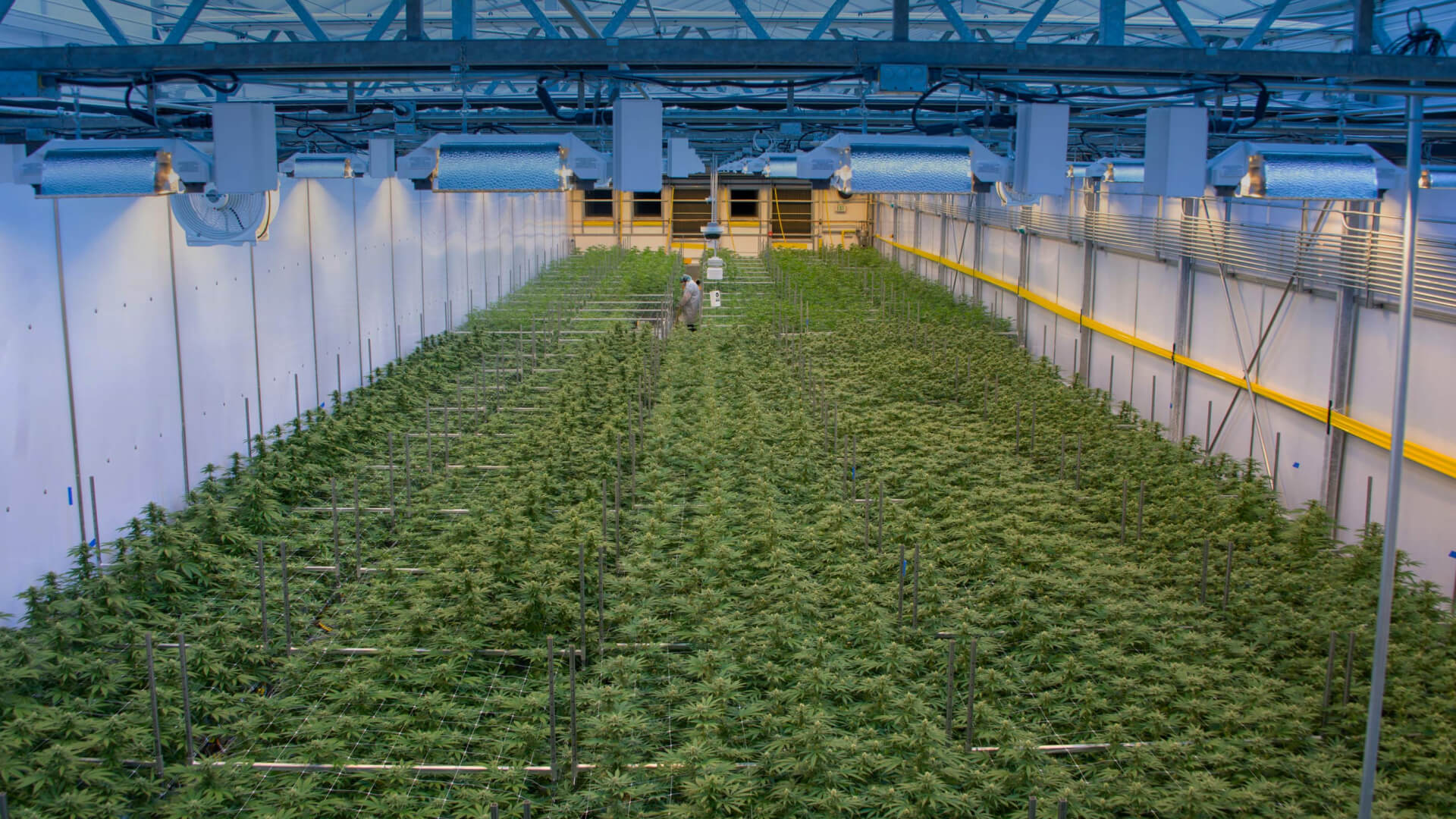 Home Acreage Holdings