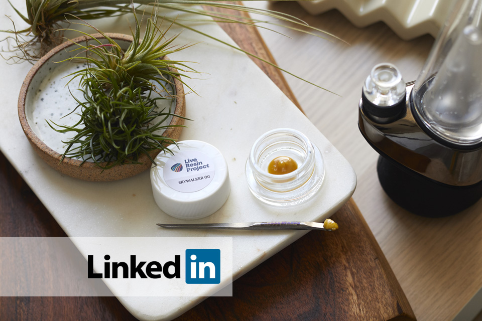 live resin linkedin